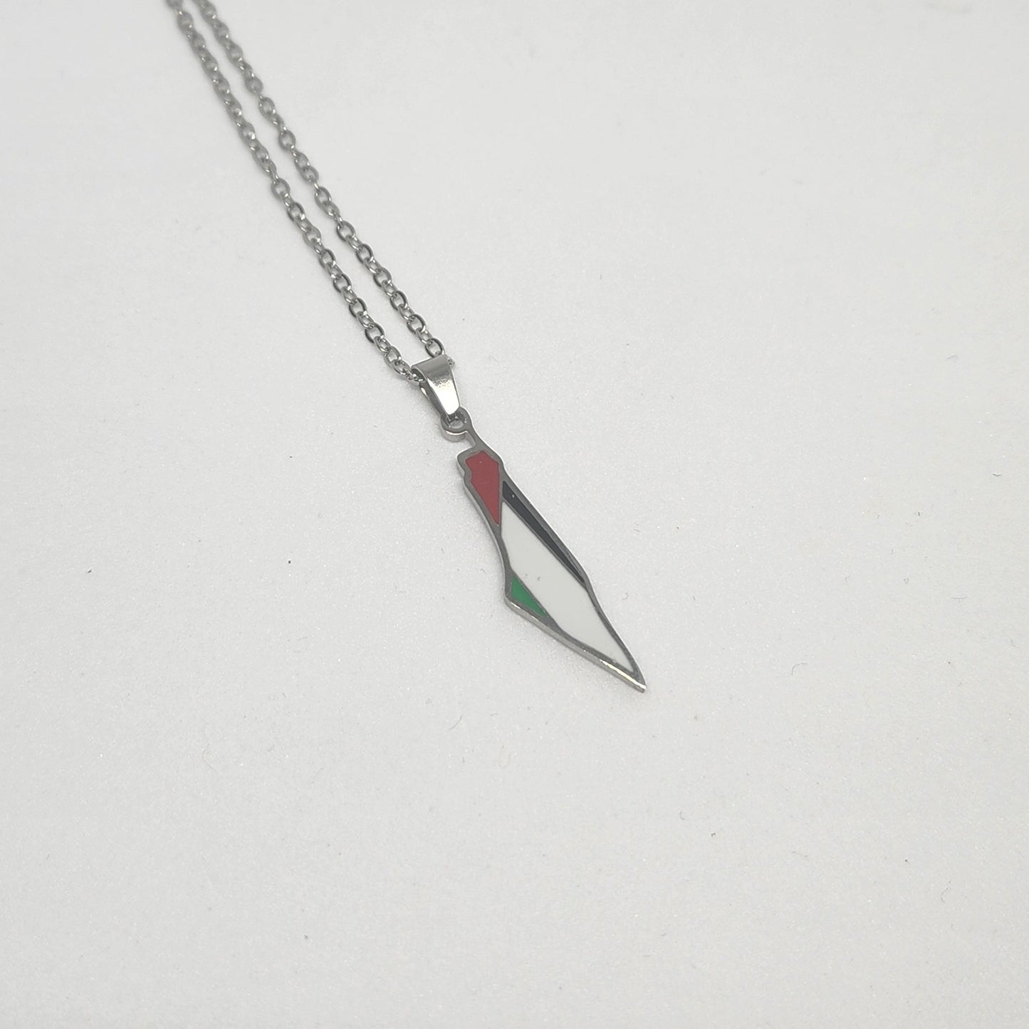 Palestine Map Coloured Necklace - Stainless Steel