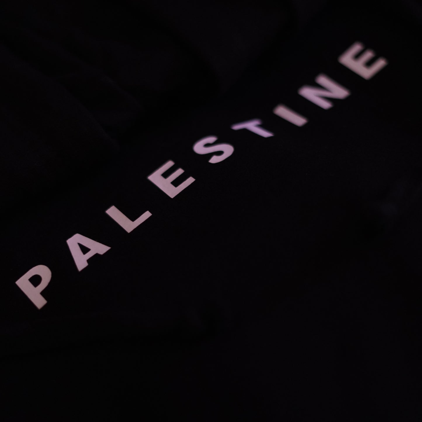 Palestine Black Hoodie (Charity)